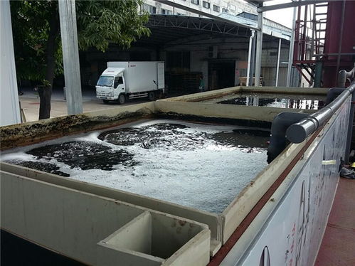 威沃菲環(huán)保 專(zhuān)業(yè)含油廢水處理設(shè)備推薦商家