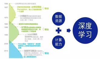 人工智能 終極進化與下一場革命——起底其基礎軟件開發的基石