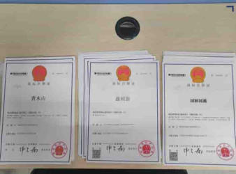 注冊(cè)公司 代理記賬公司注冊(cè)提供個(gè)體戶(hù)注冊(cè)、內(nèi)資公司注冊(cè)服務(wù)