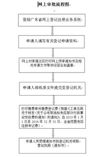 內資非公司企業法人登記